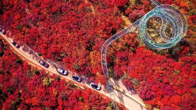 操盘手必懂｜解码景区合作运营的八大路径和十大要点