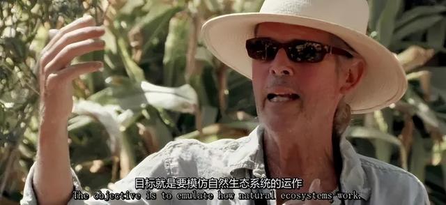 一对夫妻，为了一条狗，种出了一座森林