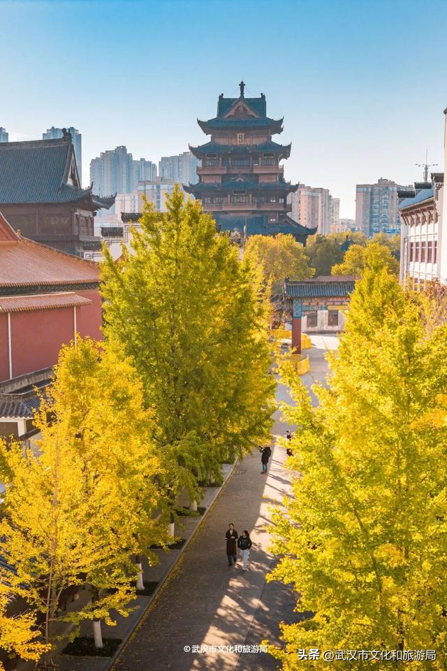 限时绝美！武汉街头颜值巅峰，地铁直达