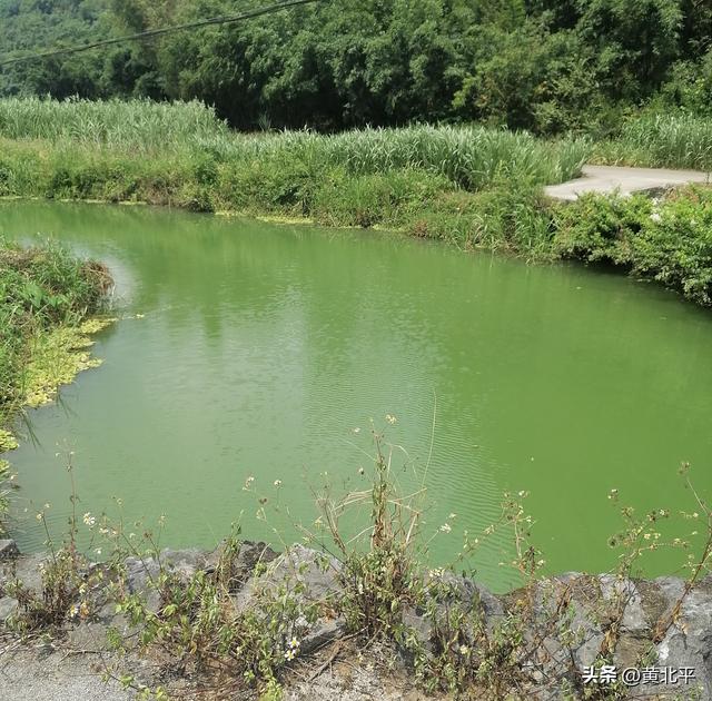 广西南宁市隆安县大同村不起眼老拱桥，跟龙文化有关而且还是文保