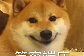 先撩着贱！盘点高情商怼人语录图片