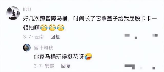 人工智能，已经发展到相当智障的境界了
