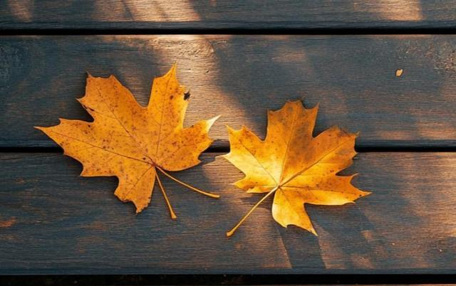 一般来说，男人想“低成本持有”一个女人，往往有以下表现