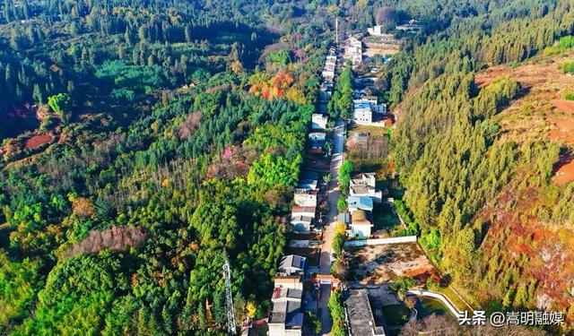 自在嵩明丨灵云山森林公园焕新升级！邀您共赴山居胜景