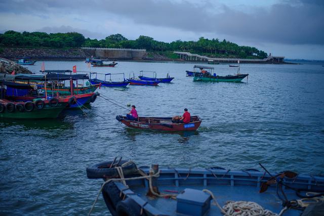 新加坡总统：中国不要自给自足，海南封关将会砸了新加坡的铁饭碗