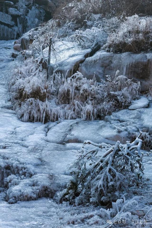 冰瀑绝美！五莲这里新晋网红打卡地！