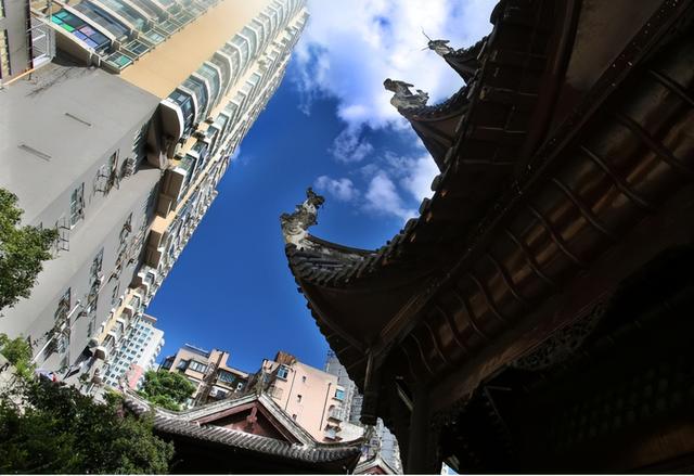 贵阳巷里走｜市府路：时光褶皱里的诗意与蓬勃