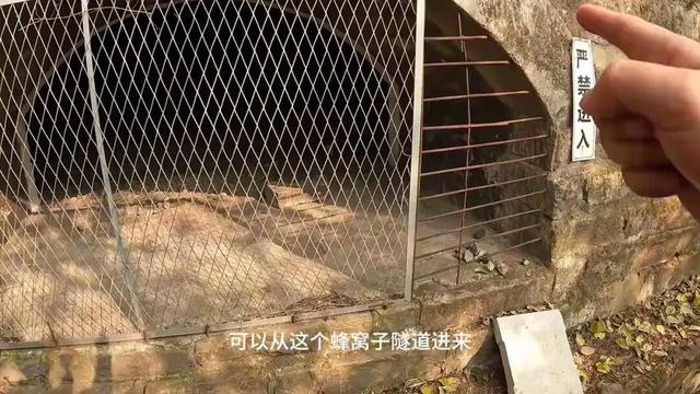 惊险刺激！重庆大渡口小众徒步路线，走完全程需要勇气