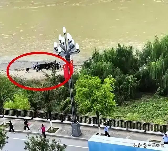 新郎跳河新后续：婚车上争吵不停，女方撇清关系，最后1句话曝光