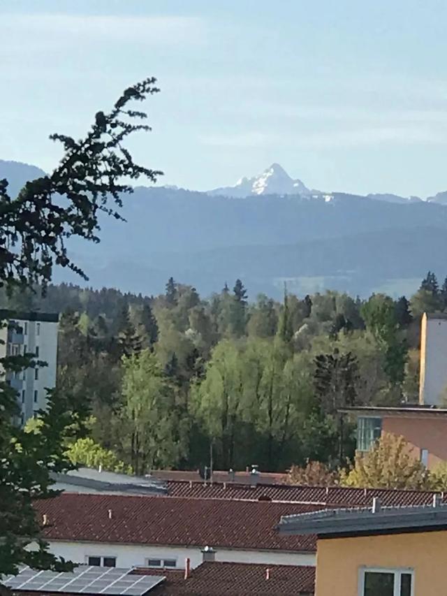 《 再见，德国 》