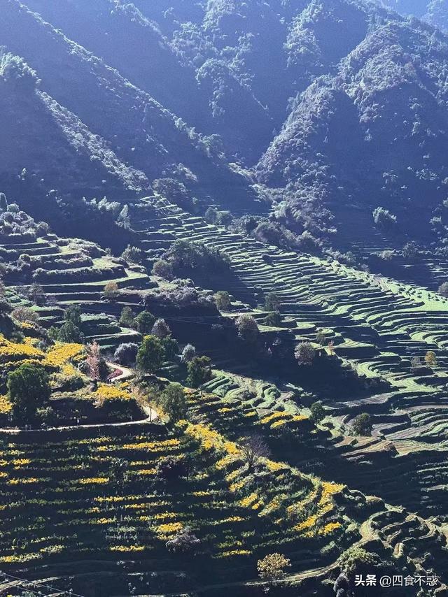 去婺源过秋天，文化与美食一样都不落下