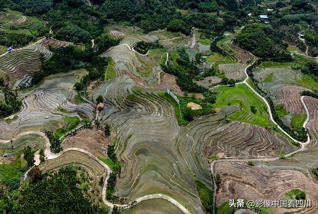 海南五指山：夏日牙胡梯田