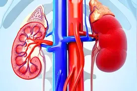 夏天是补充阳气的最好时机，阳虚体质看过来，让你阳气满满图片