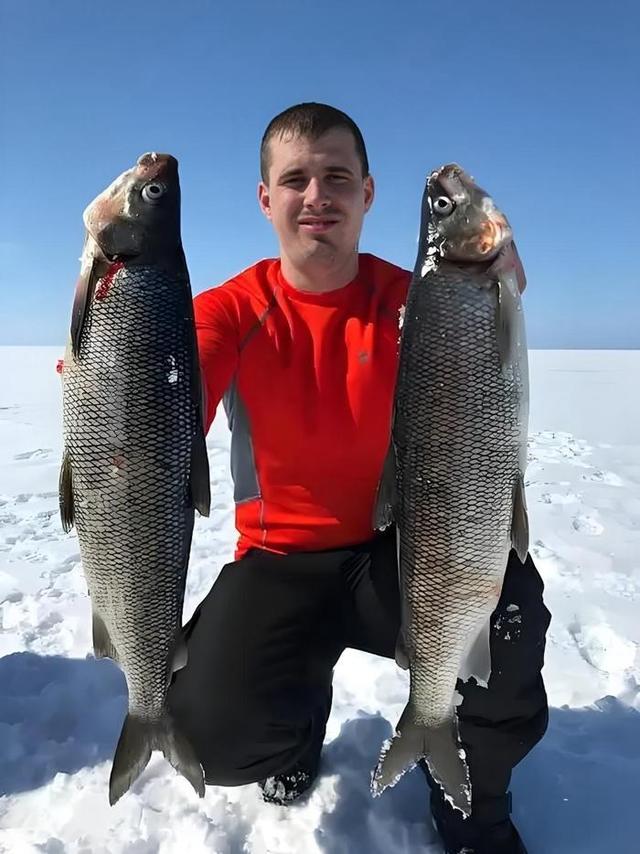 游新疆净海赛里木湖