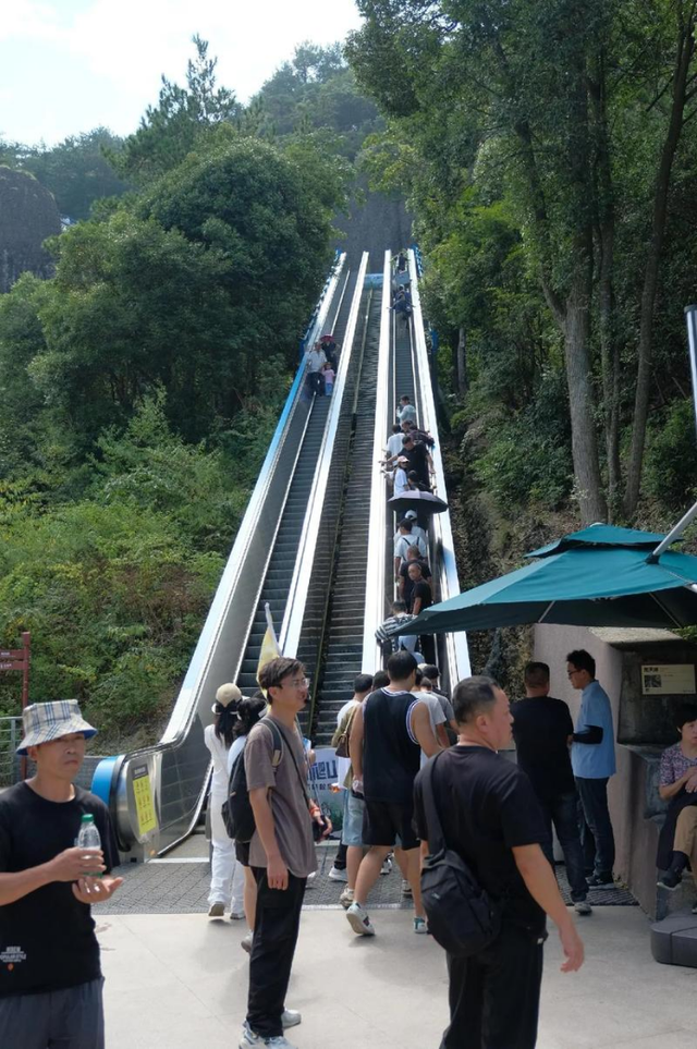 新晋网红“窝囊”景区，拯救了无数胆小的牛马！