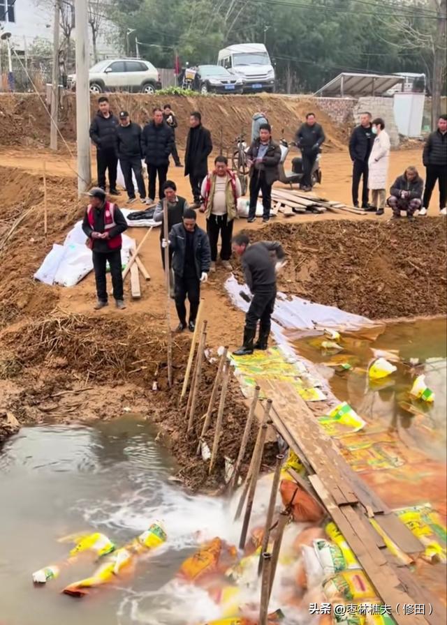 郑州贾鲁河温泉“温热”，当地官方对观赏者也是“温热”，点赞！