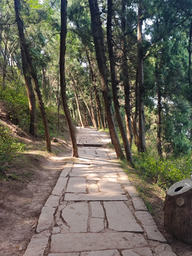 冷门！成都1h可达的龙脊古道徒步路线，人少景美，快冲！
