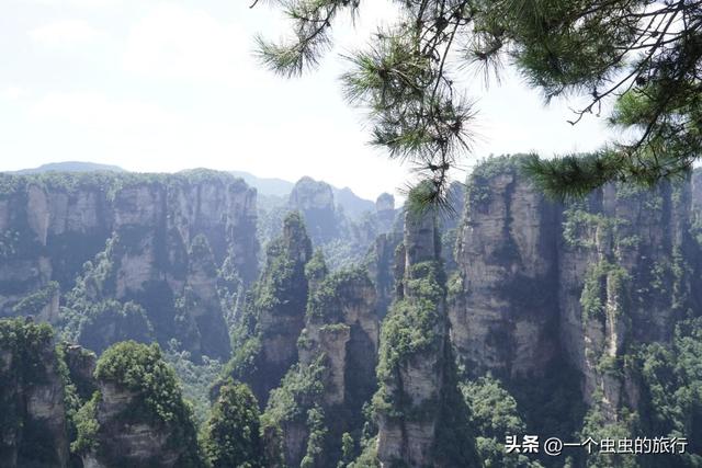 袁家界：地球的‘盗梦空间’！与2亿年的石英砂岩对视，这悬浮山