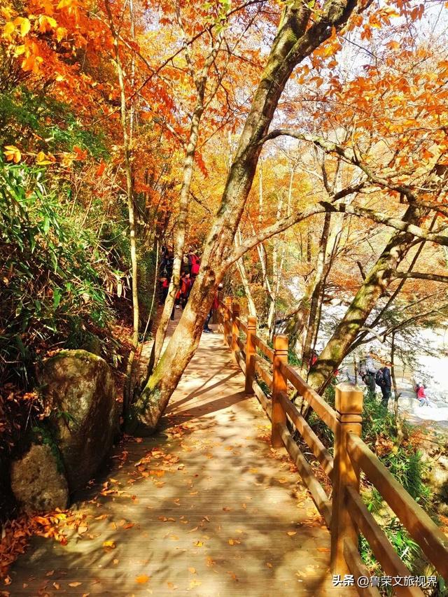 光雾山：川陕腹地的红叶秘境与千年回响