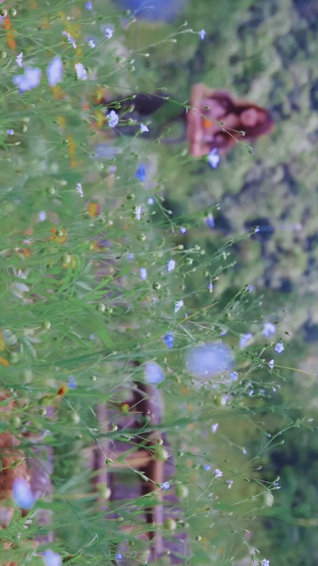 21℃云端秘境🌿开州雪宝山满月镇避暑全攻略