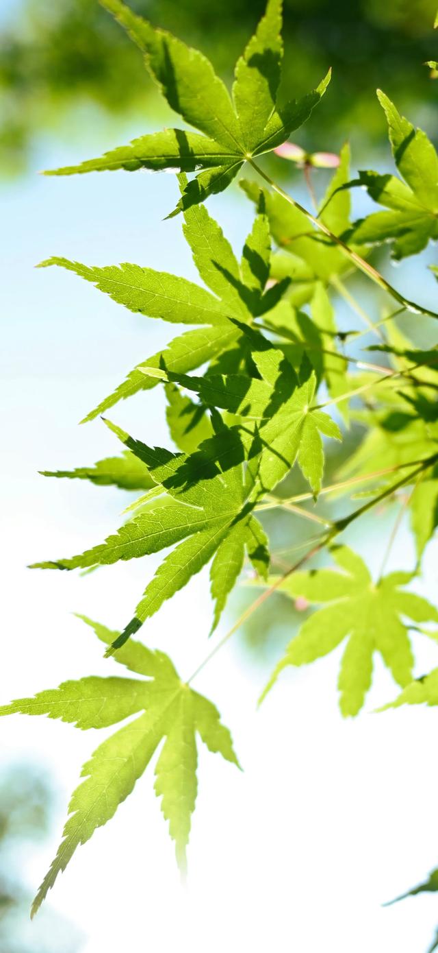 风景壁纸｜只要循着心里那道光，就能找到方向