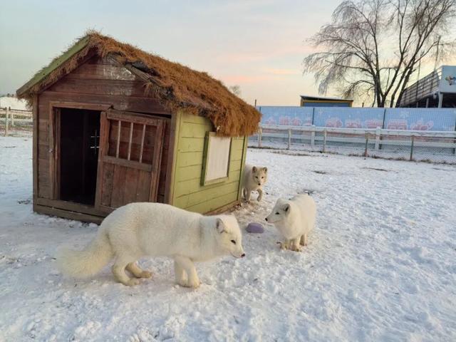 全域精彩！在包头跨年，总有一样适合你！