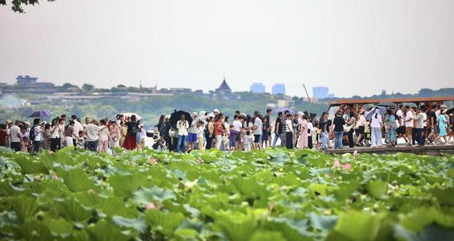 高温“烤”验下 西湖边游客热情不减