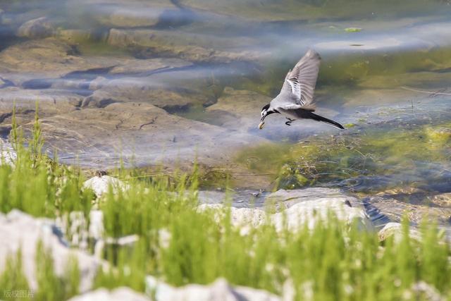 周末游河北 京西怀安县：围棋之乡品三宝，湿地古寺享清凉。请收藏