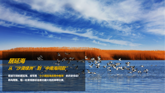 倒计时预警！包银高铁开通即封神，7城组队搞大事！