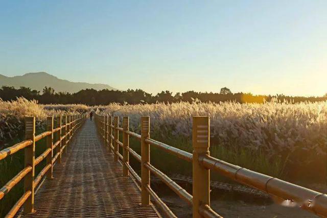 携台湾亲朋自驾游滇西南之十一