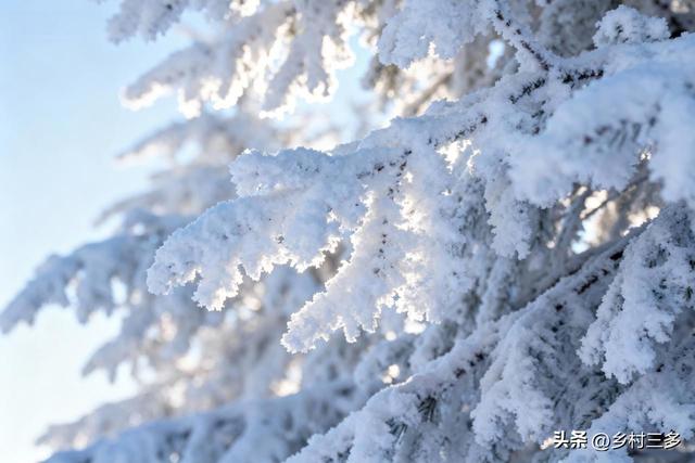 今日入三九，老人说“三九连日晴，坟头遍地起”	，晴天有啥预兆？