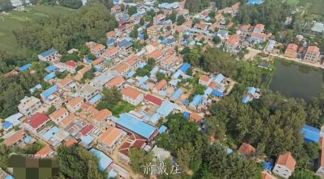 魅力曹县楼庄镇