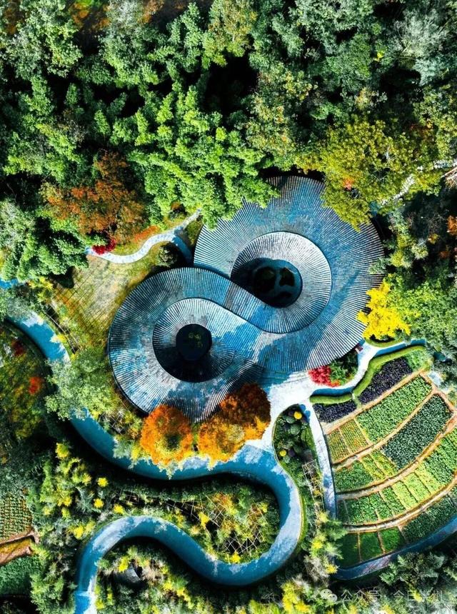 秋假去哪？崇州这些亲子游宝藏地不容错过