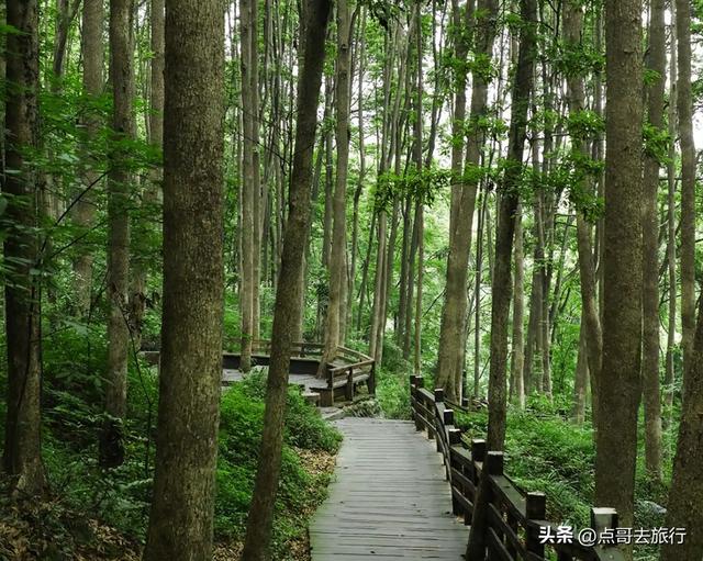 成都难得的清凉徒步胜地，在都江堰隔壁，不要门票，超级凉爽。