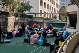广东东莞一学校跳蚤泛滥，多名孩子被咬伤！图片