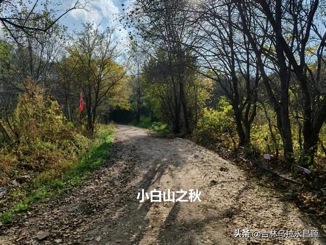 游吉林市小白山，听到了六十八年前荒唐的“讨药”事件