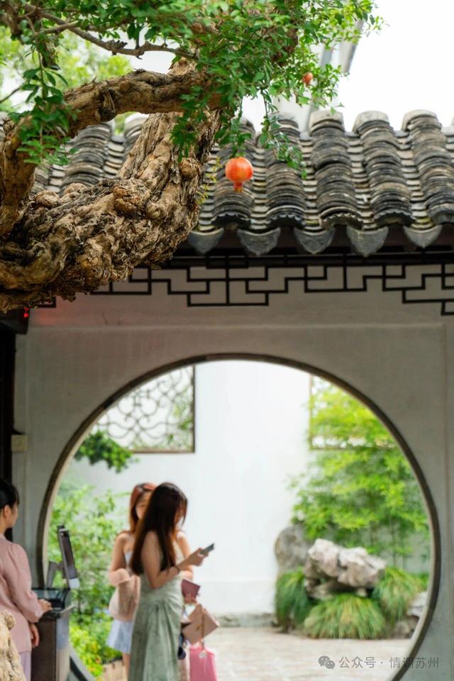苏州人有自己的“大红灯笼高高挂”