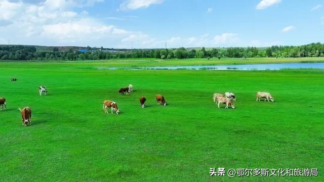 草原文化的魅力在这里延伸