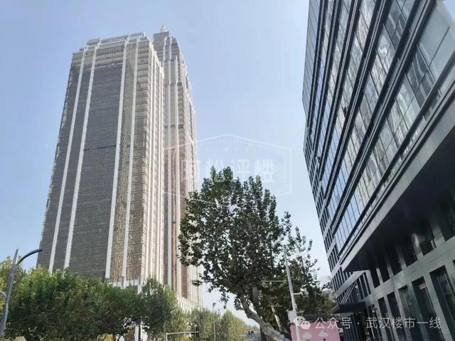 彻底出圈！武汉新增一个免费网红打卡地！