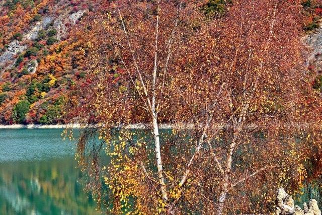 四川这个地方的初冬，是彩色的！