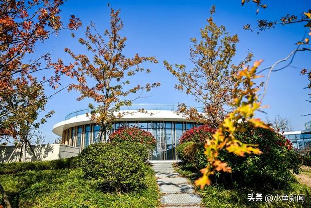 免费开放！苏州人，赶紧安排上！