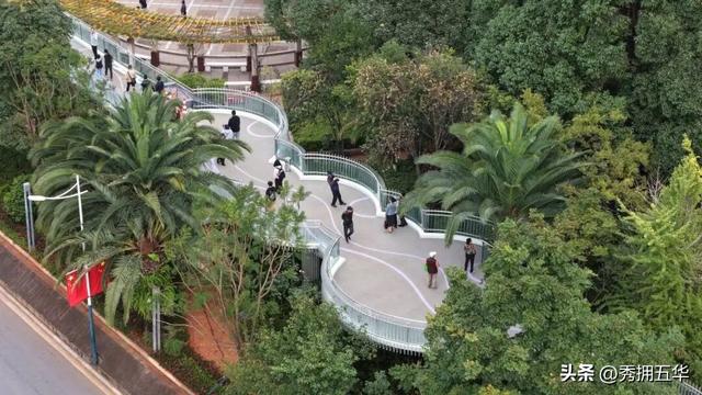 连通翠湖、昆明老街片区！翠湖城市绿道建成开放