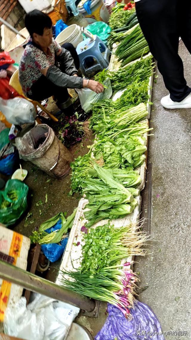 广州南沙金洲，一个充满市井生活气息的地方……