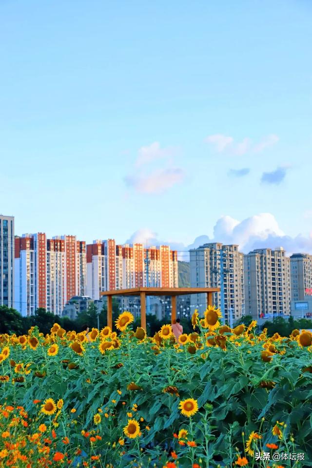 球票别扔！平阳给球迷开挂了：看浙BA+逛非遗市集+游景区，三倍快乐锁死→
