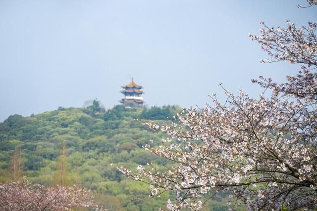 3月4月，10处绝佳踏春地，寻春踏青安排起来