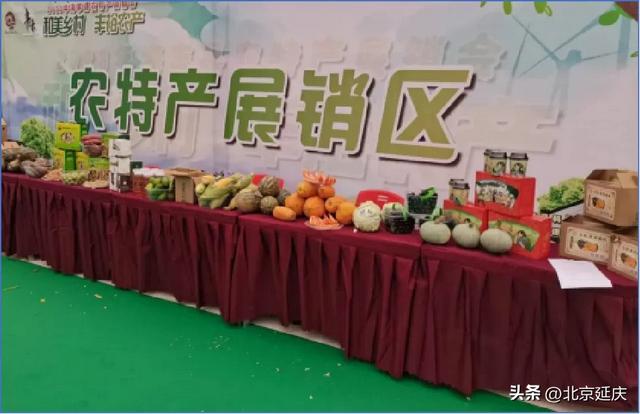 “双节”来延庆~长城国潮文化季超有趣