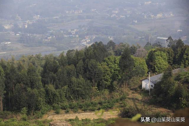 2023年春重庆探亲游（上篇）