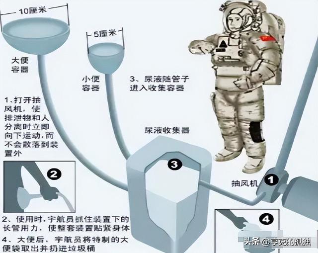 女宇航员在太空如何满足生活需求？隐私如何保护？自有妙招