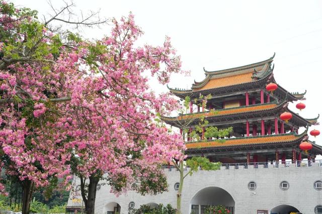 别等了！东莞观音山限定五彩皮肤已上线，速来解锁一年好运