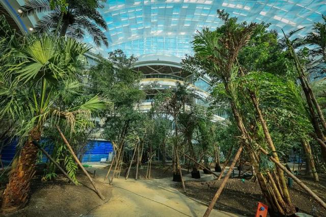 长春这一商业综合体即将营业